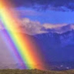 Meet your Posher, Rosalie